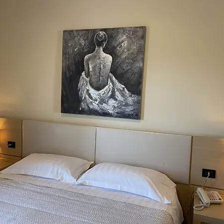Hotell Domus Park & 4*
