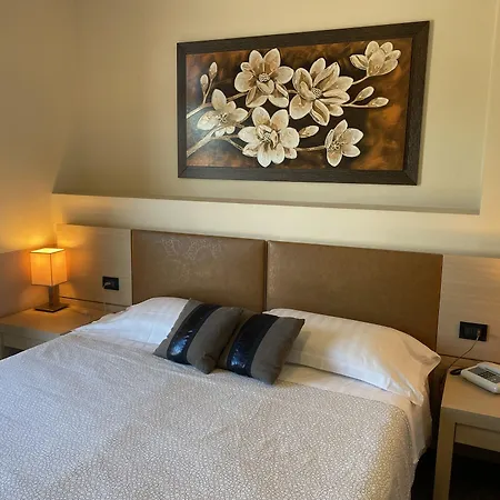 Hotel Domus Park &