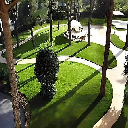 Otel Domus Park &