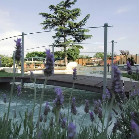 Hotel Domus Park &